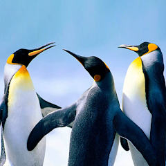 The Penguin Mod apk última versión descarga gratuita