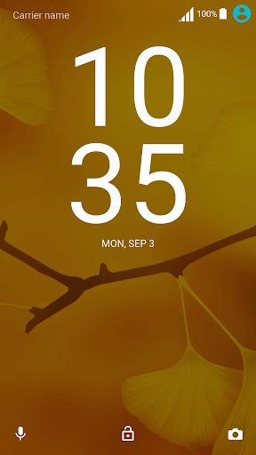 Mystical Autumn Theme Screen 3