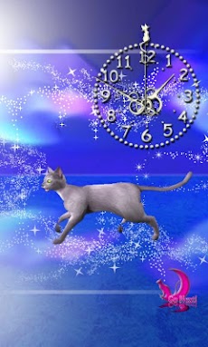 ロシアンブルー猫ライブ壁紙走る飛び猫 アプリおしゃれ時計付き Androidアプリ Applion