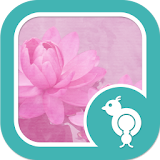 Go Locker Pink Water Lilies icon