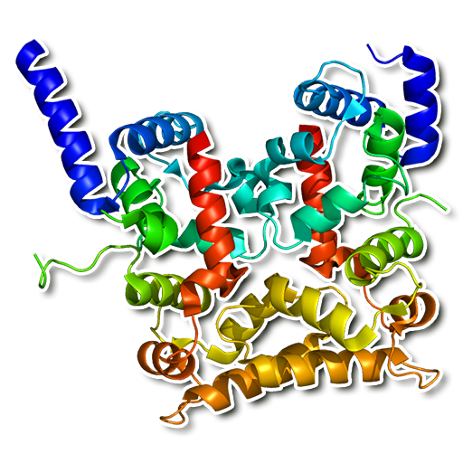 Human proteins  Icon