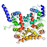 Human proteins icon