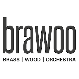 Icon image BRAWOO – Brass Wood Orchestra