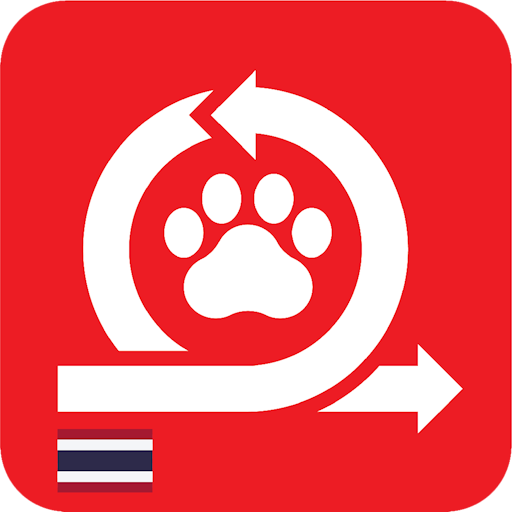 Antinol Pet Experience TH logo