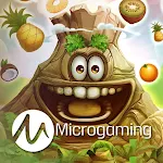 Cover Image of Download Microgaming Casino เกมสล็อต 1.0 APK