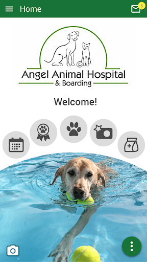 Android application Angel Animal Vet screenshort