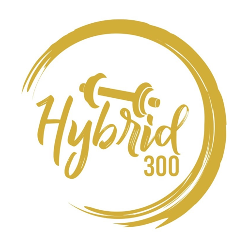 Hybrid 300