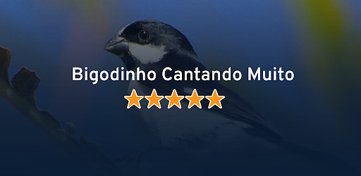 Bigodinho Cantando Muito