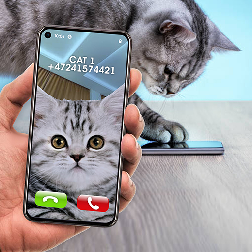 Joke Video Call to Cat