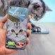 Joke Video Call to Cat - Androidアプリ