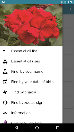 Essential oil & Perfume guide Screen 2