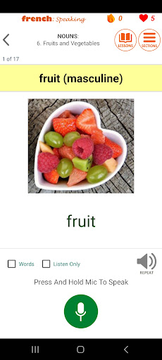 Only French: Learn Language Screen 2