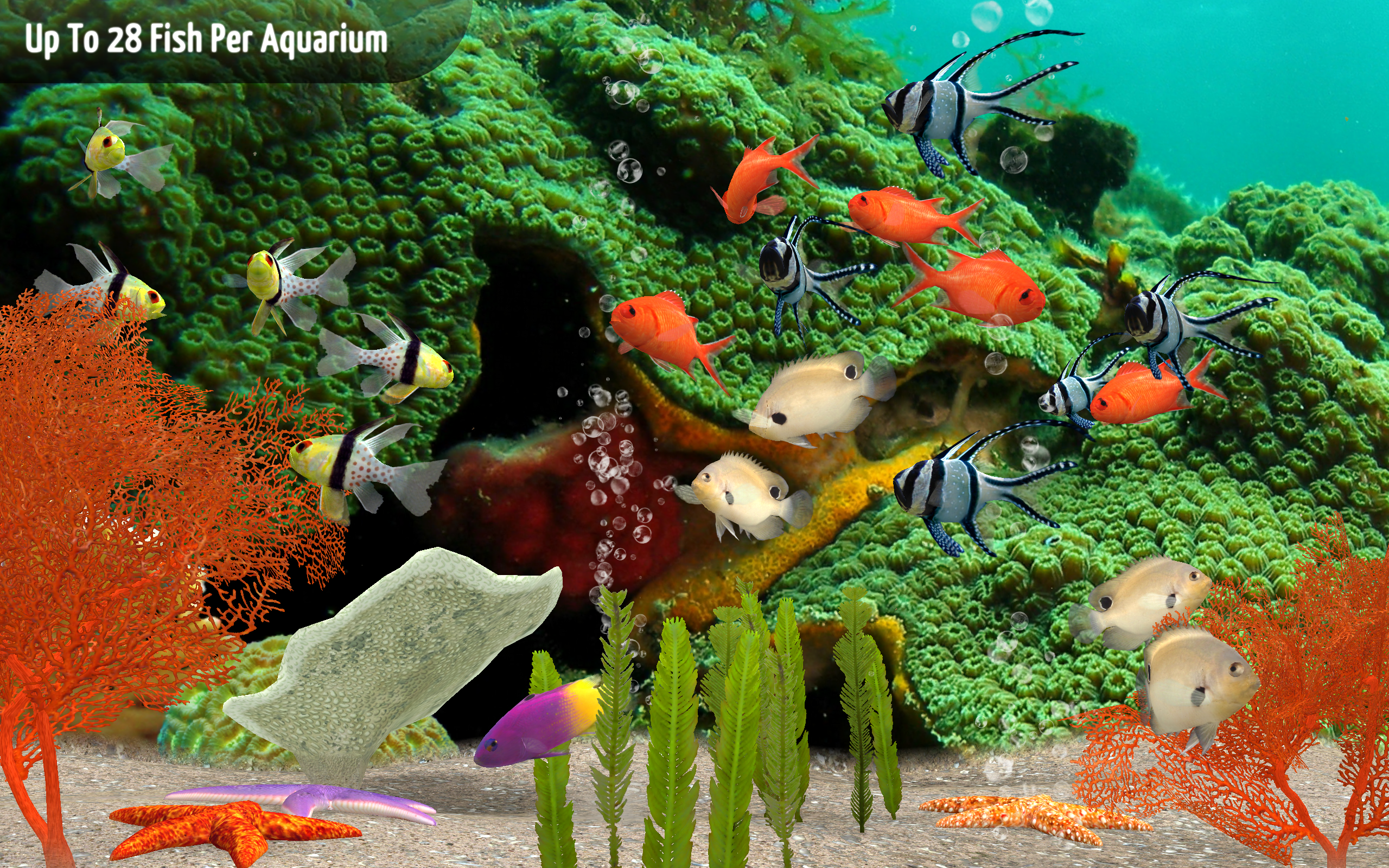 Android application MyReef 3D Aquarium screenshort