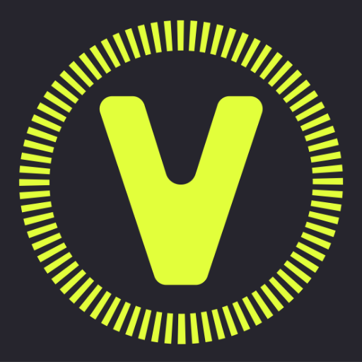 Viceversa logo