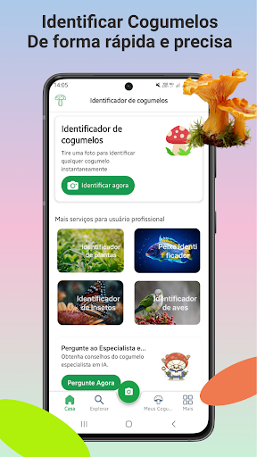 Visualização do aplicativo