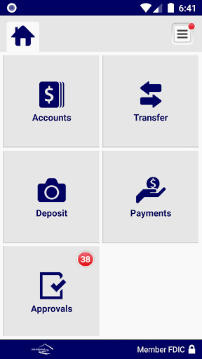 Blue Ridge Bank | Business Screen 3