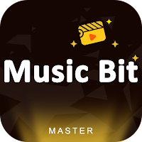 MV Bit Master, Status Video