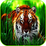 Tigers Wallpaper icon
