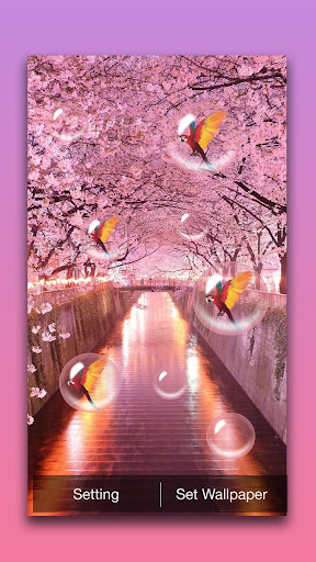 Sakura Live Wallpaper Screen 3