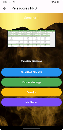 Ricardo Bravo Muay Thai