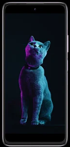 Cat phone wallpapers