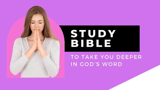 Holy Study Bible Screen 2