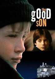 Icon image The Good Son