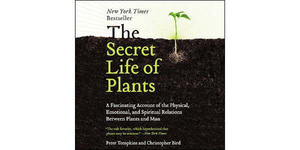 The　of　of　A　Peter　Spiritual　and　Emotional,　Between　Account　Google　Secret　Life　on　Plants:　Physical,　and　Bird　Audiobooks　Christopher　Fascinating　the　Tompkins,　by　Relations　Man　Plants　Play