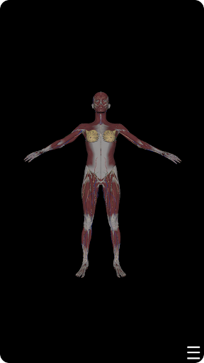 머슬매니악 :: 3D 해부학 Screen 2