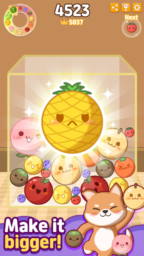mockup
