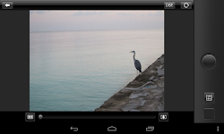 screenshot of Canon CameraWindow