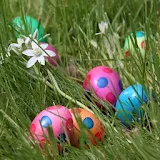 Easter Eggs Wallpapers HD FREE icon