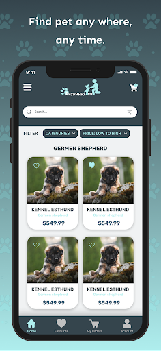Buy Puppy Screen 2