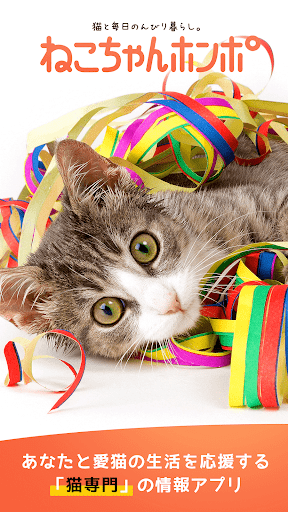 Android application 猫のニュースや飼い方の情報をまとめ読み -ねこちゃんホンポ- screenshort