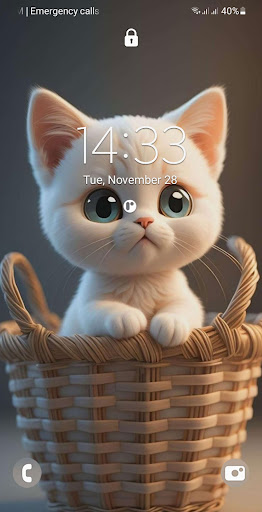Kittens Wallpaper HD Screen 3