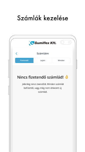 Gumiflex - B2B Screen 3