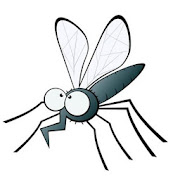 Easily Find Mosquito with Eyes and Cameras