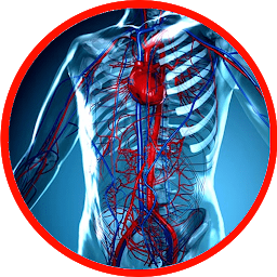 Symbolbild für Anatomie - Physiologie