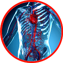 Download Anatomy - Physiology Install Latest APK downloader