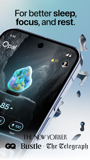 Opal Screen Time Limit & Timer 2