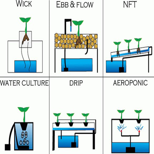 Hydroponics techniques