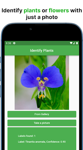 Android application Plant Identifier screenshort