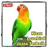 Kicau LoveBird Juara Terbaik icon
