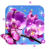 Orchid Spring icon