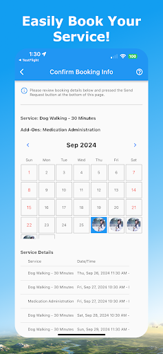 Cloudy Pet Sitter and Dog Walker