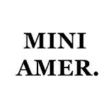 MINI AMER. icon