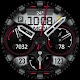 screenshot of SH025 Watch Face, WearOS watch
