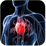 أمراض القلب و الشرايين icon