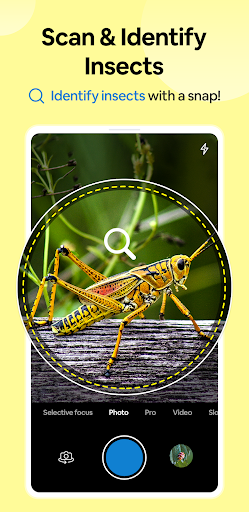 Android application Insect Spider & Bug identifier screenshort