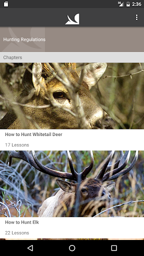 Play Big Game Hunter Free
